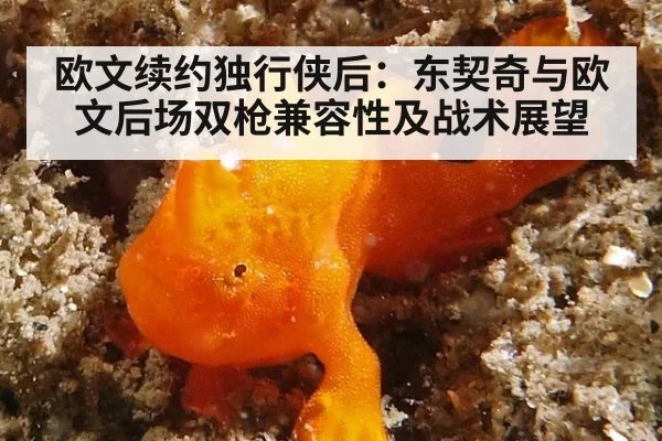 欧文续约独行侠后：东契奇与欧文后场双枪兼容性及战术展望